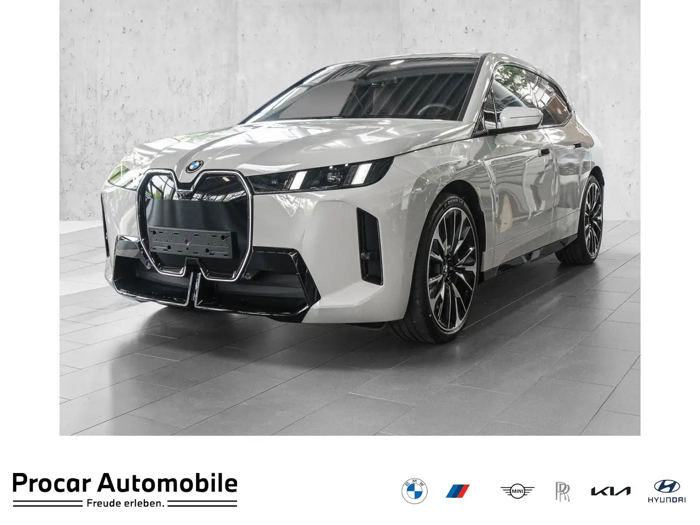 BMW iX xDrive45 MSport HuD H/K DA Prof PA Prof PDC Gris - 1