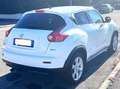 Nissan Juke Juke I 2010 1.5 dci Acenta Biały - thumbnail 7