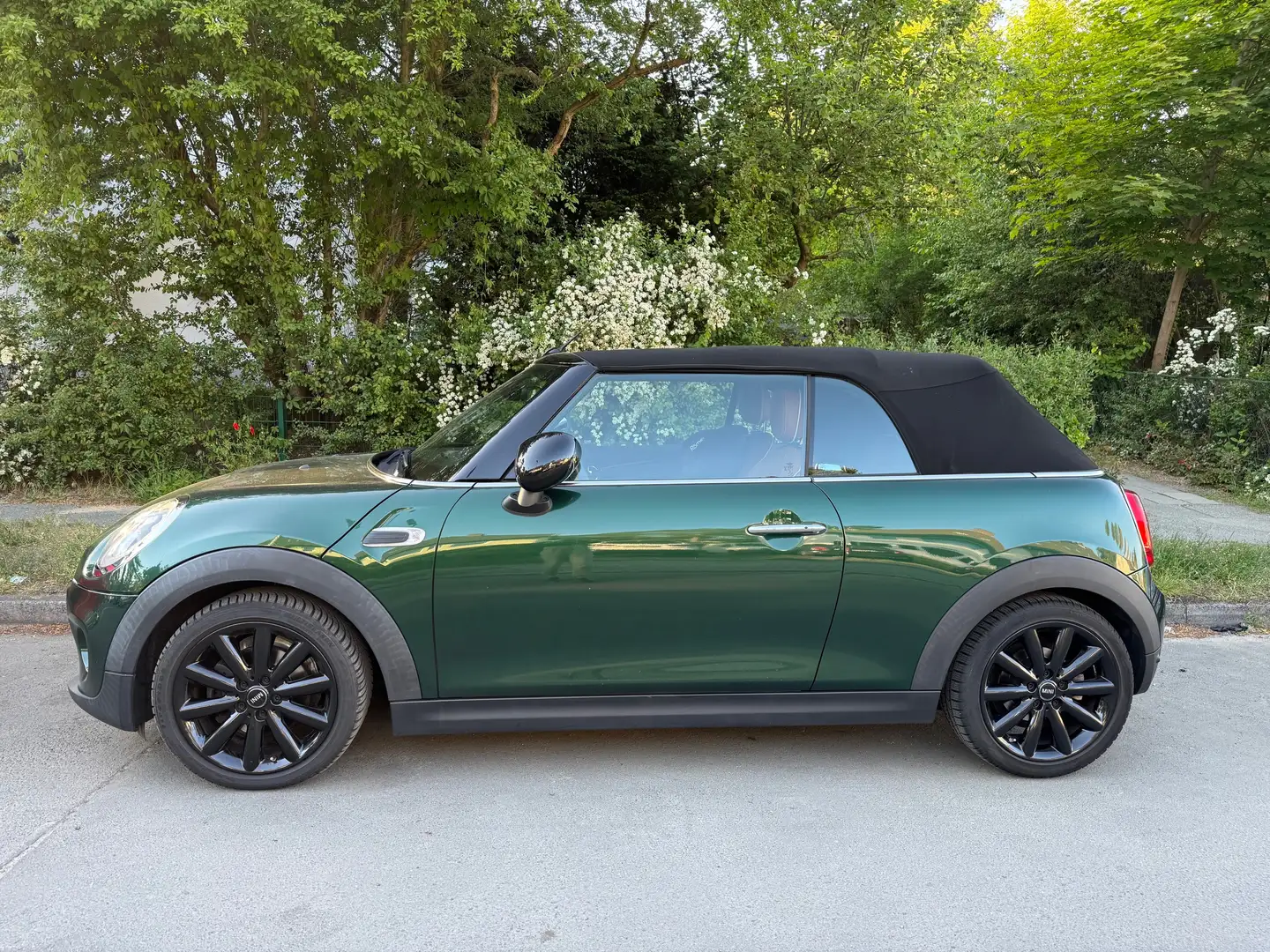 MINI Cooper Cabrio Mini Cooper Cabrio Grün - 2