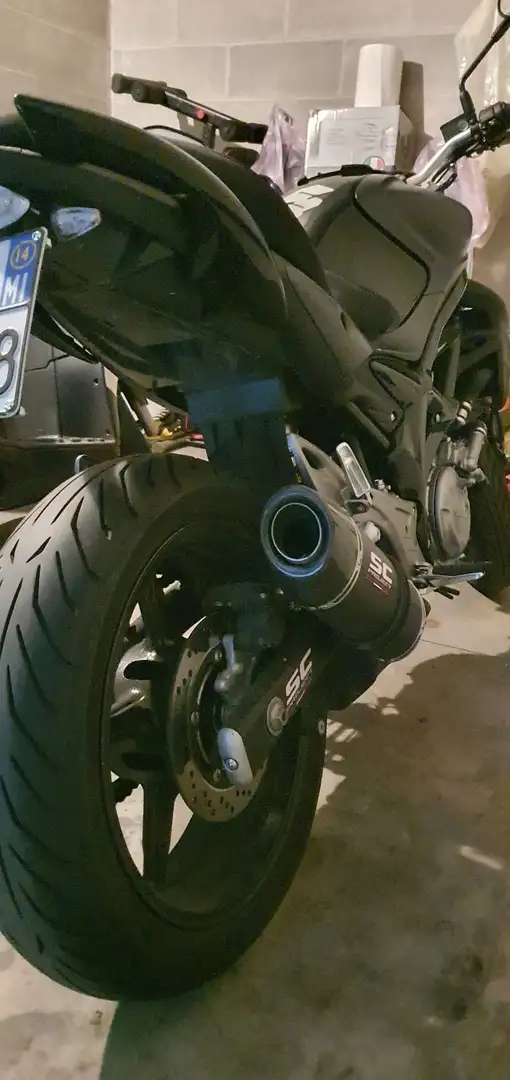 Suzuki Gladius 650 Schwarz - 1