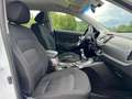 Kia Sportage Österreich Edition 1,7 CRDi Top*Kredit*Gepflegt Weiß - thumbnail 15