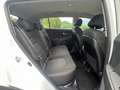 Kia Sportage Österreich Edition 1,7 CRDi Top*Kredit*Gepflegt Weiß - thumbnail 20