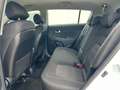 Kia Sportage Österreich Edition 1,7 CRDi Top*Kredit*Gepflegt Weiß - thumbnail 18