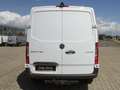 Mercedes-Benz Sprinter 314 CDI Kühlkasten L1H1 Standkühl AHK Blanc - thumbnail 5