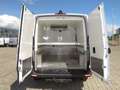 Mercedes-Benz Sprinter 314 CDI Kühlkasten L1H1 Standkühl AHK Blanc - thumbnail 14