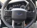 Ford F 150 2022 STX AWD 5.0 V8 Leder Navi AHK LPG Šedá - thumbnail 5