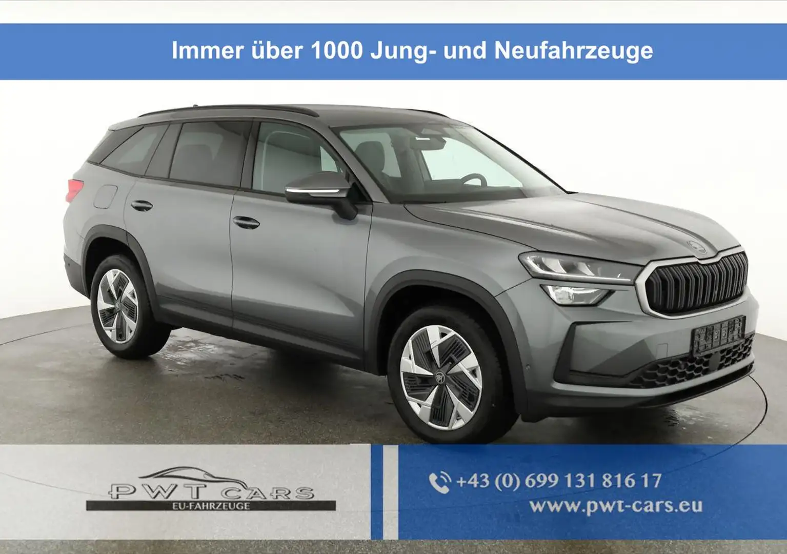 Skoda Kodiaq 2.0 TDI 142kW 4x4 Selection DSG Selection, AHK,... Grau - 1