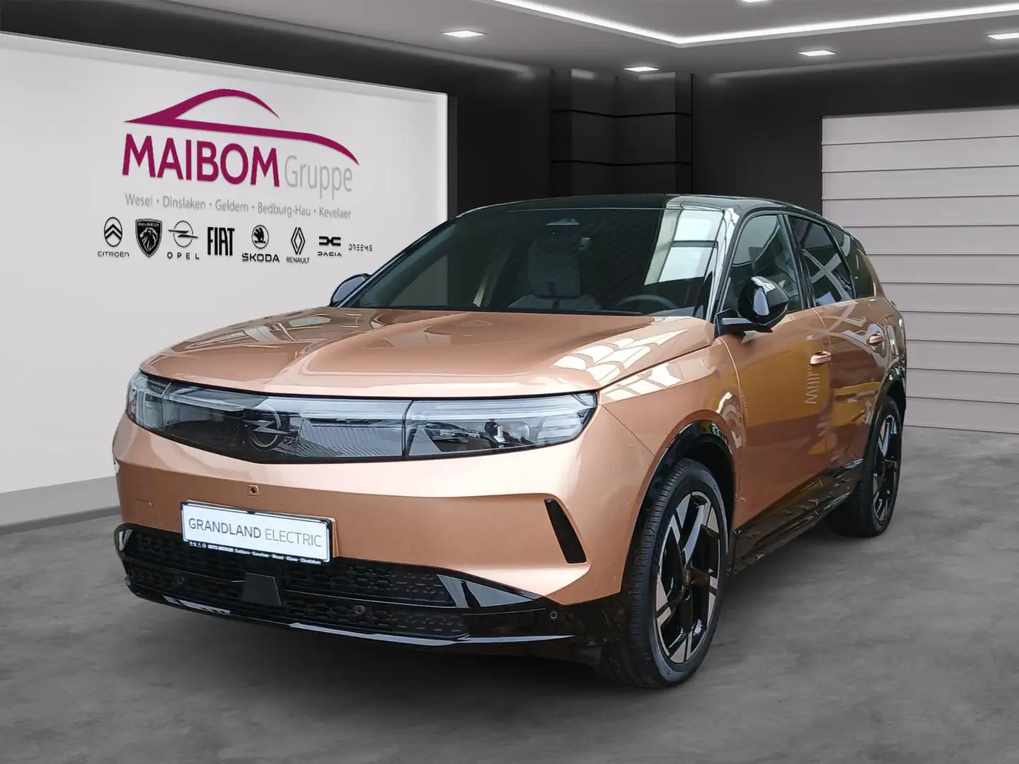 Opel Grandland Electric GS+Panoramadach Bronze - 1