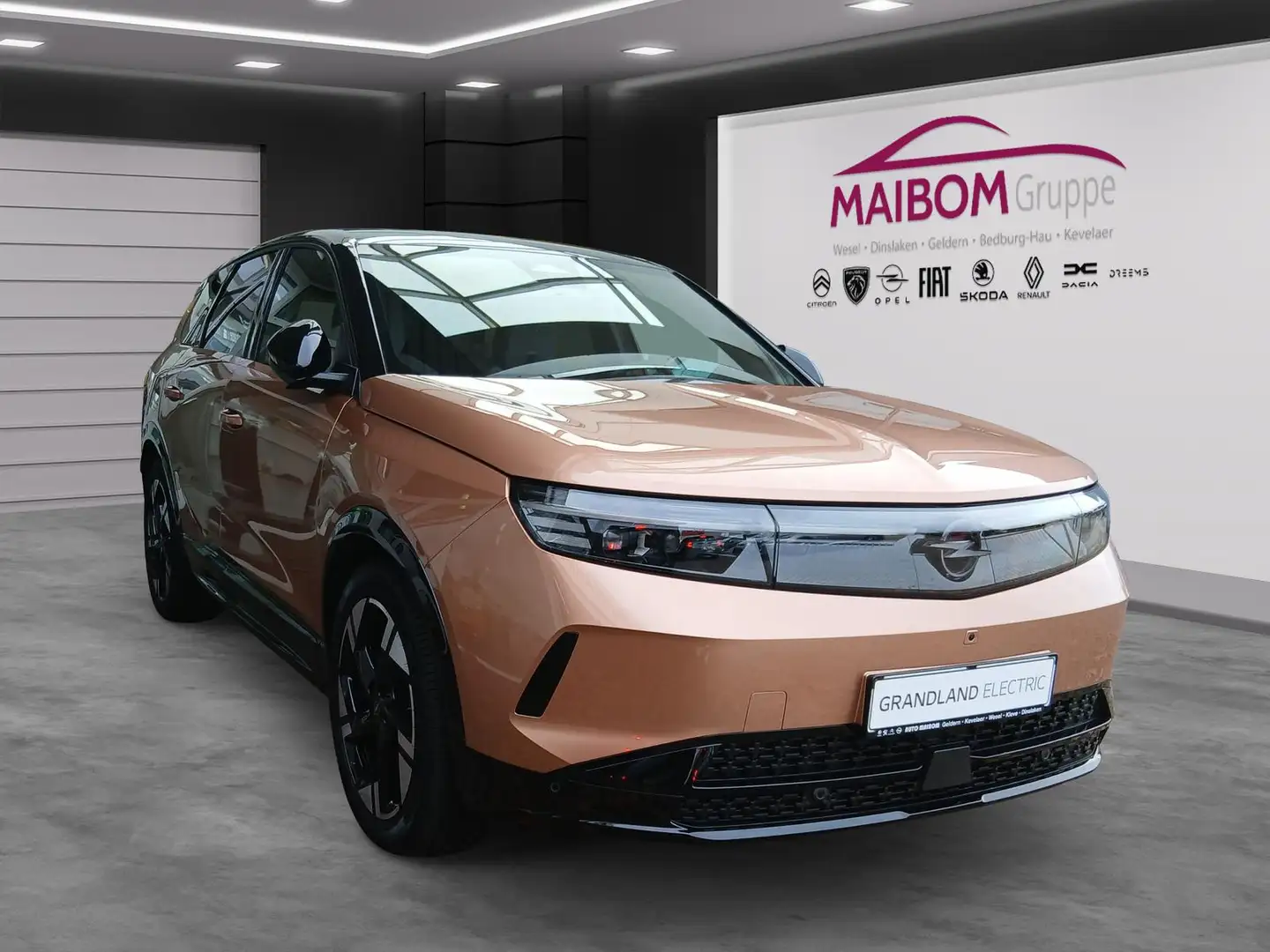 Opel Grandland Electric GS+Panoramadach Bronze - 2