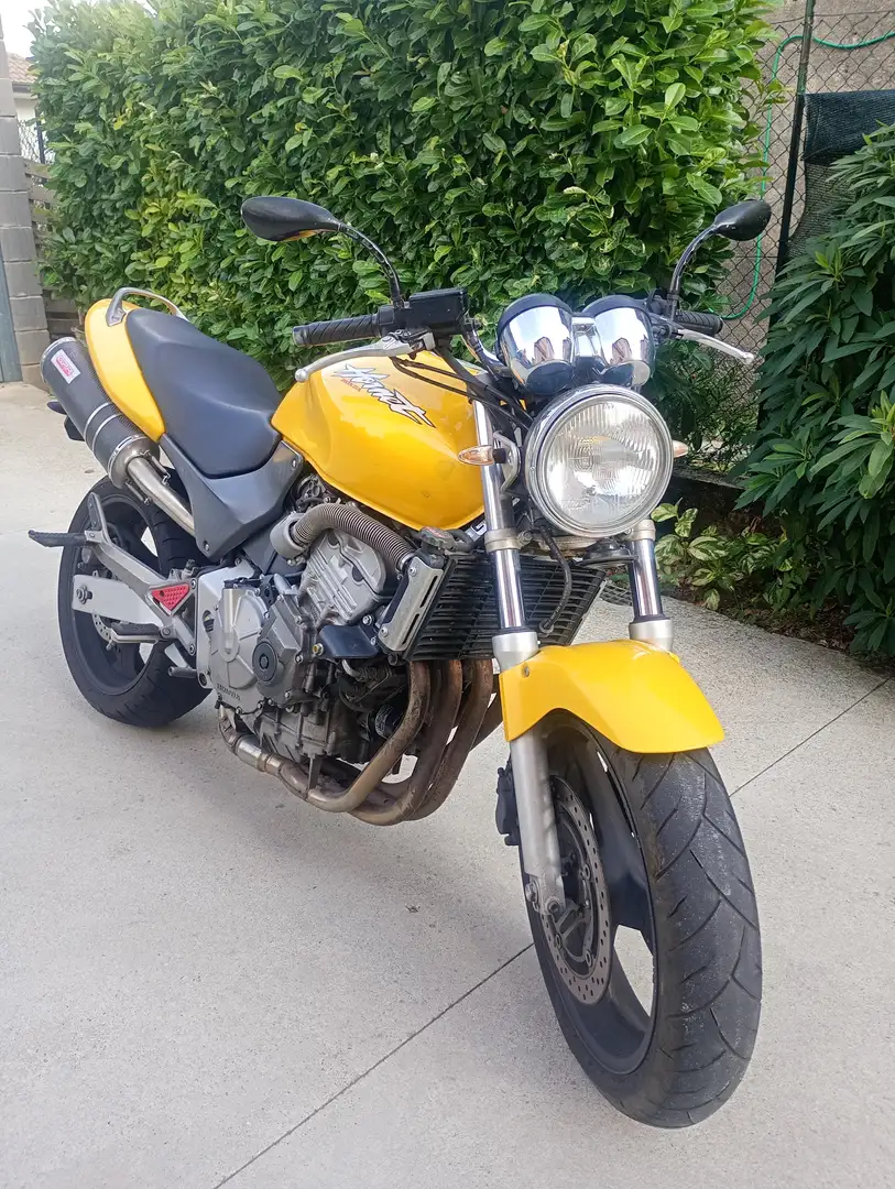 Honda Hornet Yellow - 1