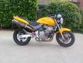 Honda Hornet Jaune - thumbnail 2
