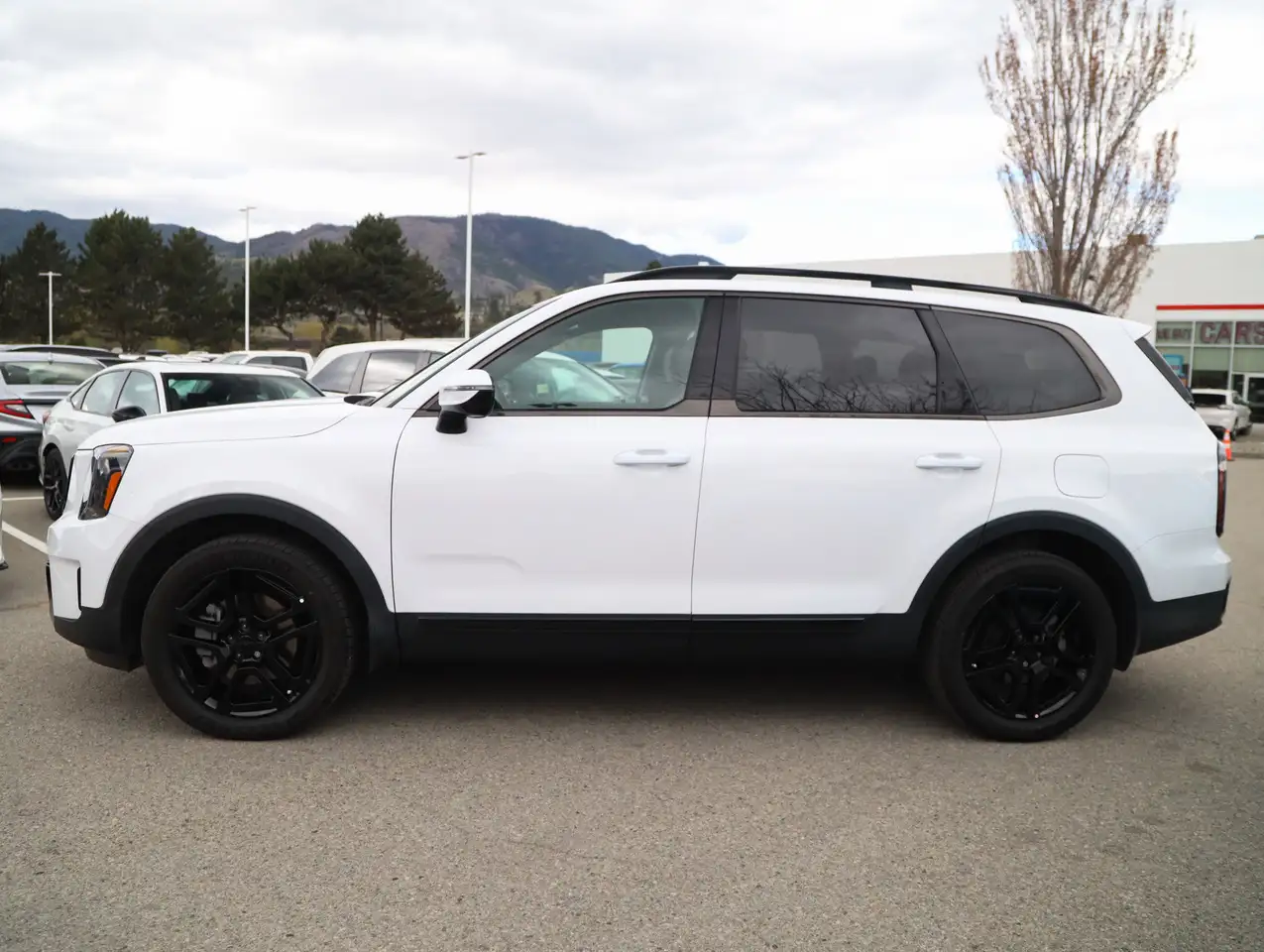 Kia Telluride снимка Kia Telluride