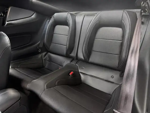 Ford Mustang view 12