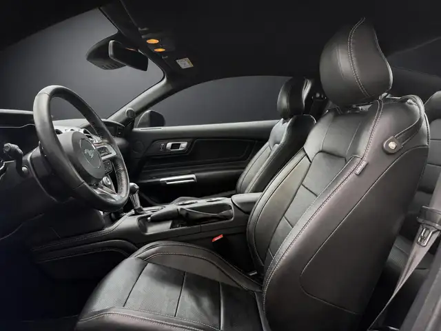 Ford Mustang view 11