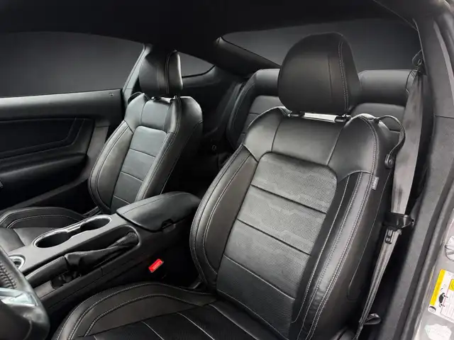 Ford Mustang view 14