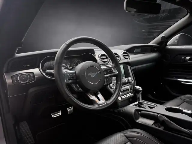 Ford Mustang view 13