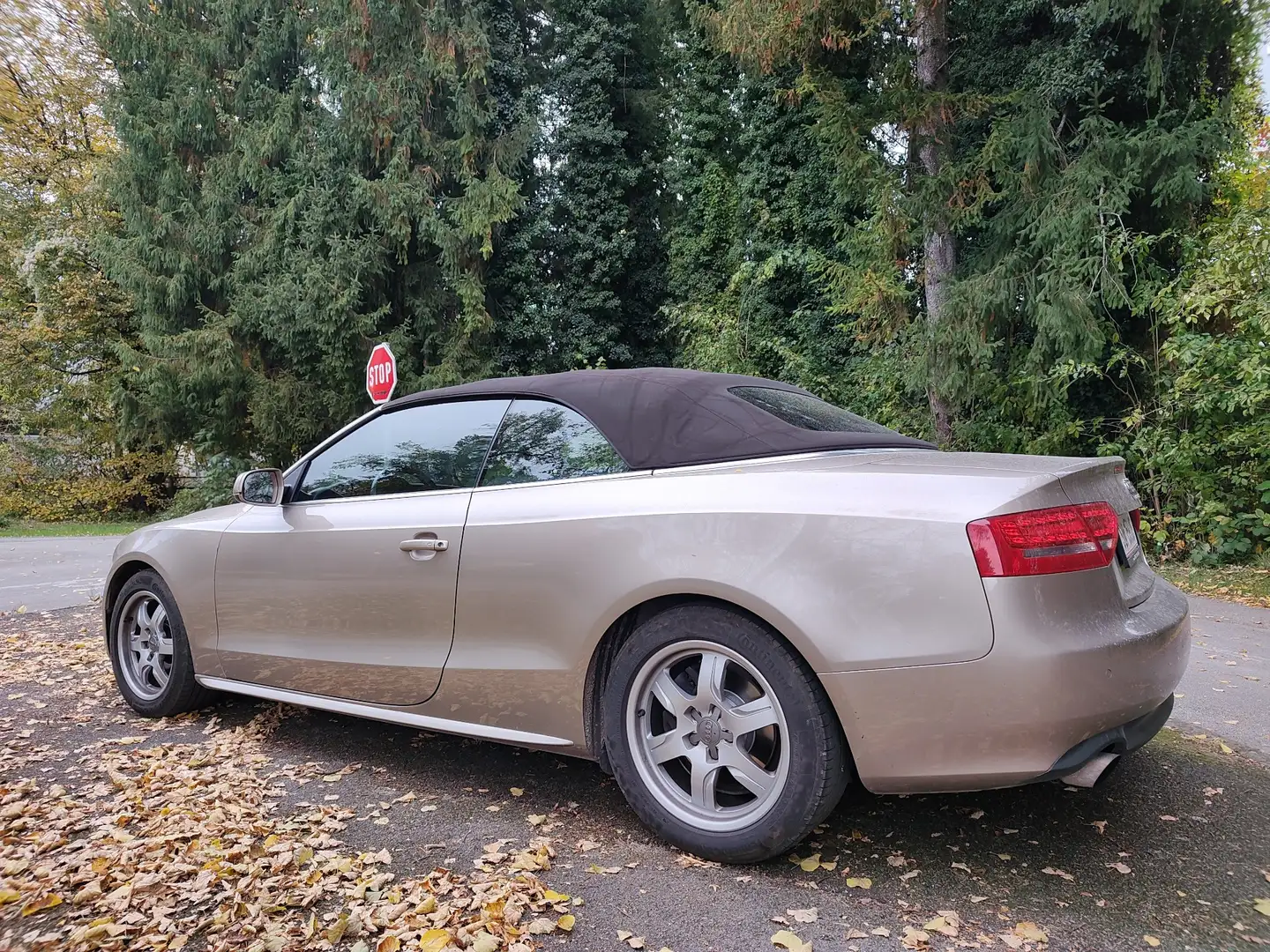 Audi A5 Cabrio 2,0 TFSI - 1