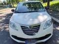 Lancia Ypsilon Ypsilon III 2011 1.2 8v Silver ecochic Gpl 69cv Blanc - thumbnail 5