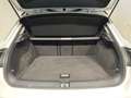 Volkswagen T-Roc 1.0 Tsi 115CV Style Bianco - thumbnail 11
