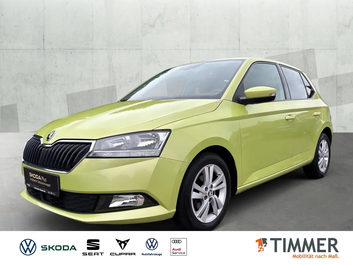 Skoda Fabia 1.0 TSI Style *PDC*GJR*NAVI*SHZ* Grün - 1