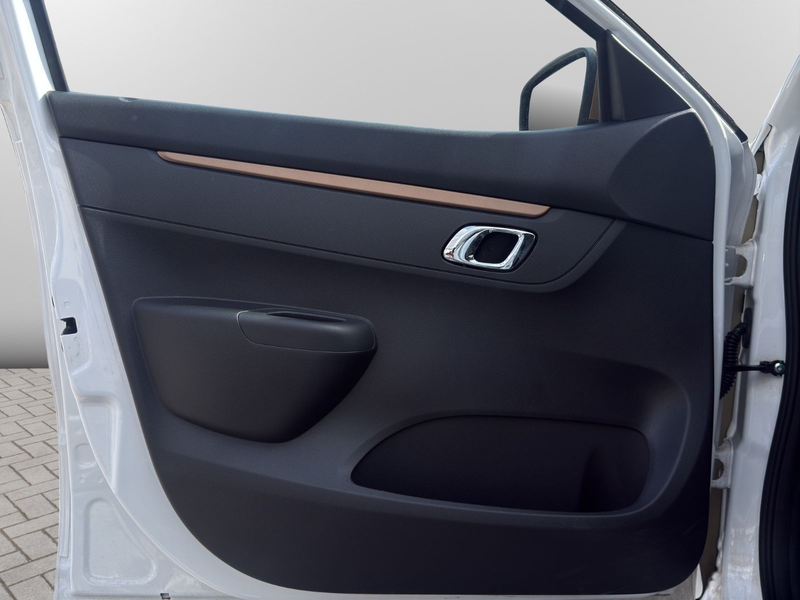 Dacia Spring Electric Extreme *1.HAND*CCS*KAMERA*LEDER — photo 13