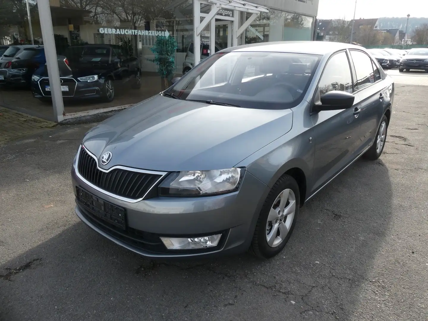 Skoda Rapid/Spaceback Active Grau - 2