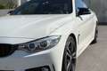 BMW 420 420d Coupé Msport Bianco - thumbnail 9