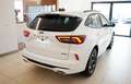 Ford Kuga KUGA ST-LINE 2.5FHEV 183PS Weiß - thumbnail 11