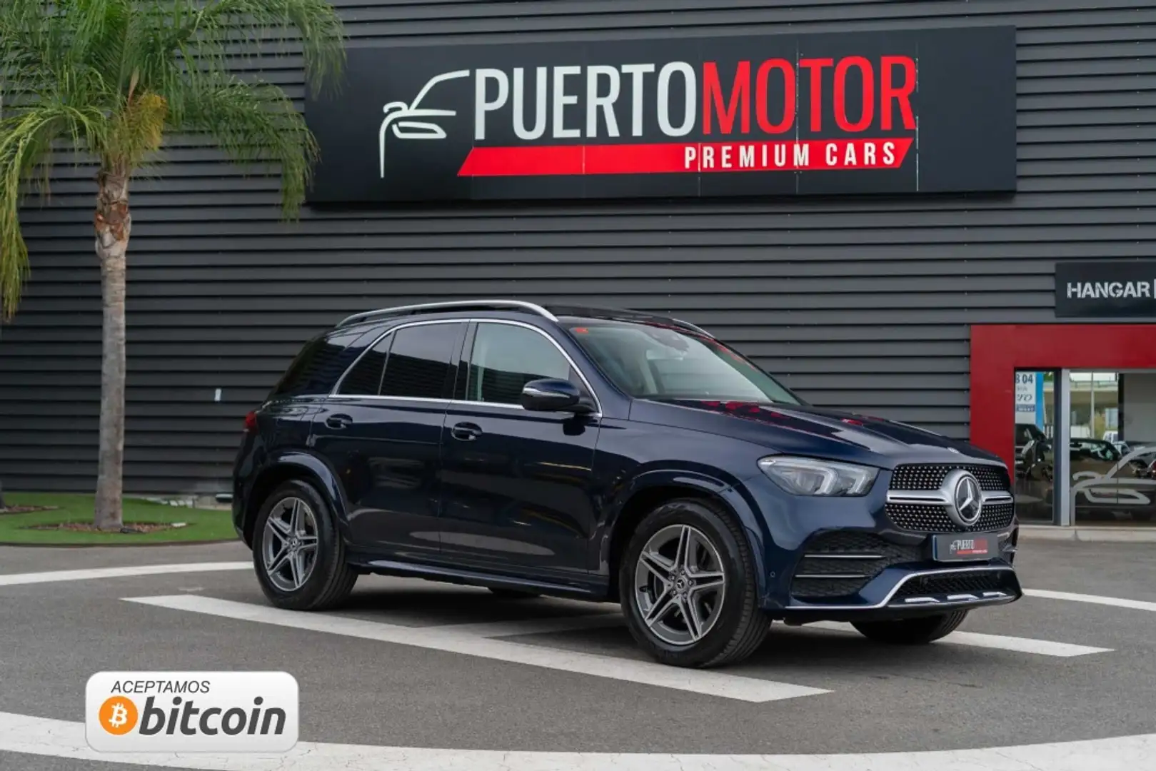 Mercedes-Benz GLE 300 300d 4Matic Aut. Azul - 1