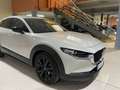 Mazda CX-30 MHEV Homura 2WD (EURO 6d) 2023 - thumbnail 14
