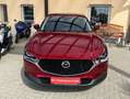 Mazda CX-3 Selection 2WD|Winterräder|NAVI Rot - thumbnail 3