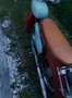 Simson SR 2 Rouge - thumbnail 11