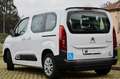 Citroen Berlingo 1.5 bluehdi M Feel 130cv TRASPORTO DISABILI NO IVA Bianco - thumbnail 4