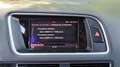 Audi SQ5 SQ5 3.0 TDI quattro tiptronic competition Argent - thumbnail 20