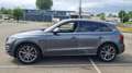Audi SQ5 SQ5 3.0 TDI quattro tiptronic competition Argent - thumbnail 3
