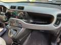 Fiat Panda Panda 1.2 Lounge 69cv(gpl) Nero - thumbnail 4