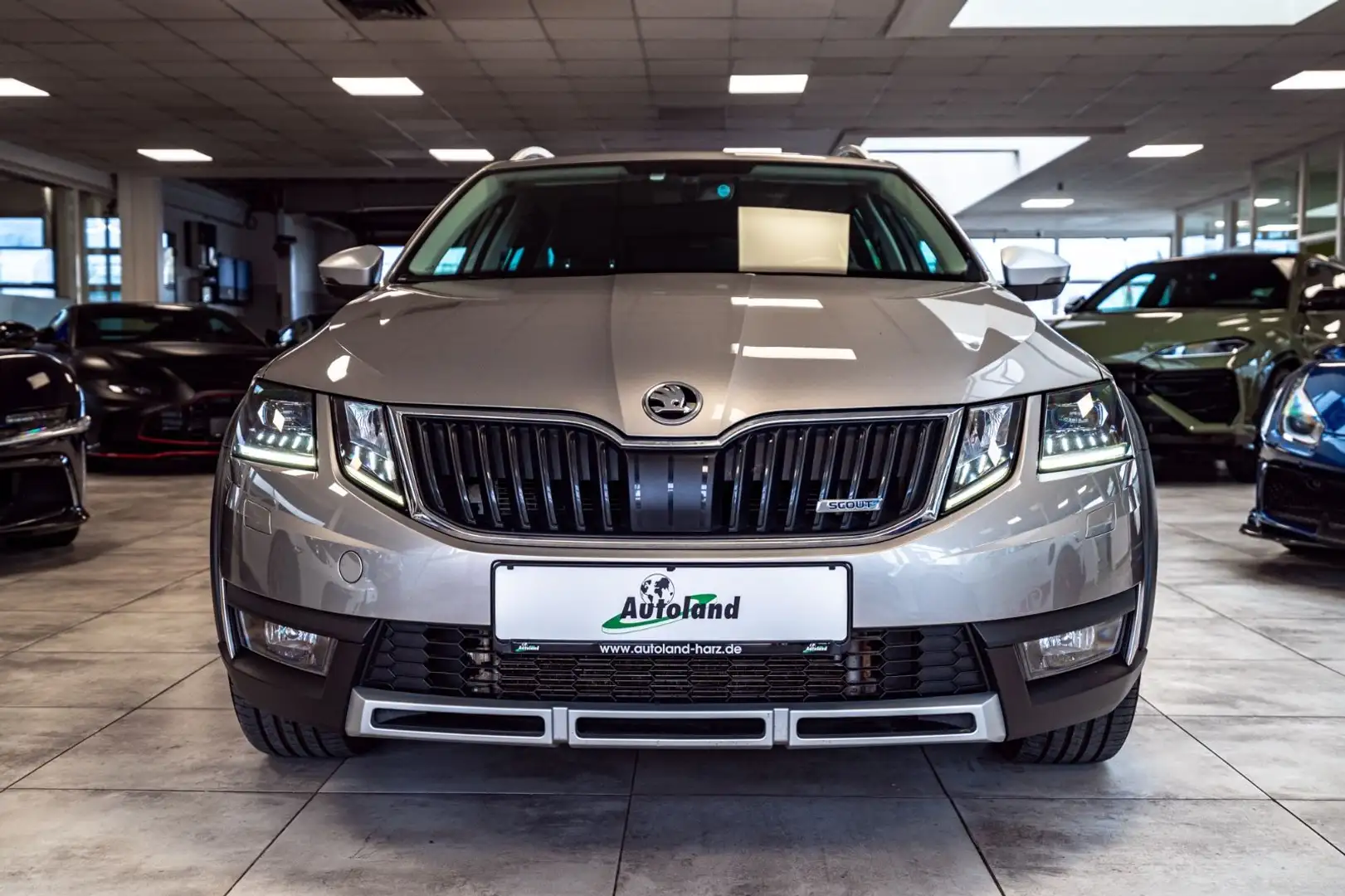 Skoda Octavia Combi 2.0 TDI 4x4 DSG Scout Beige - 2