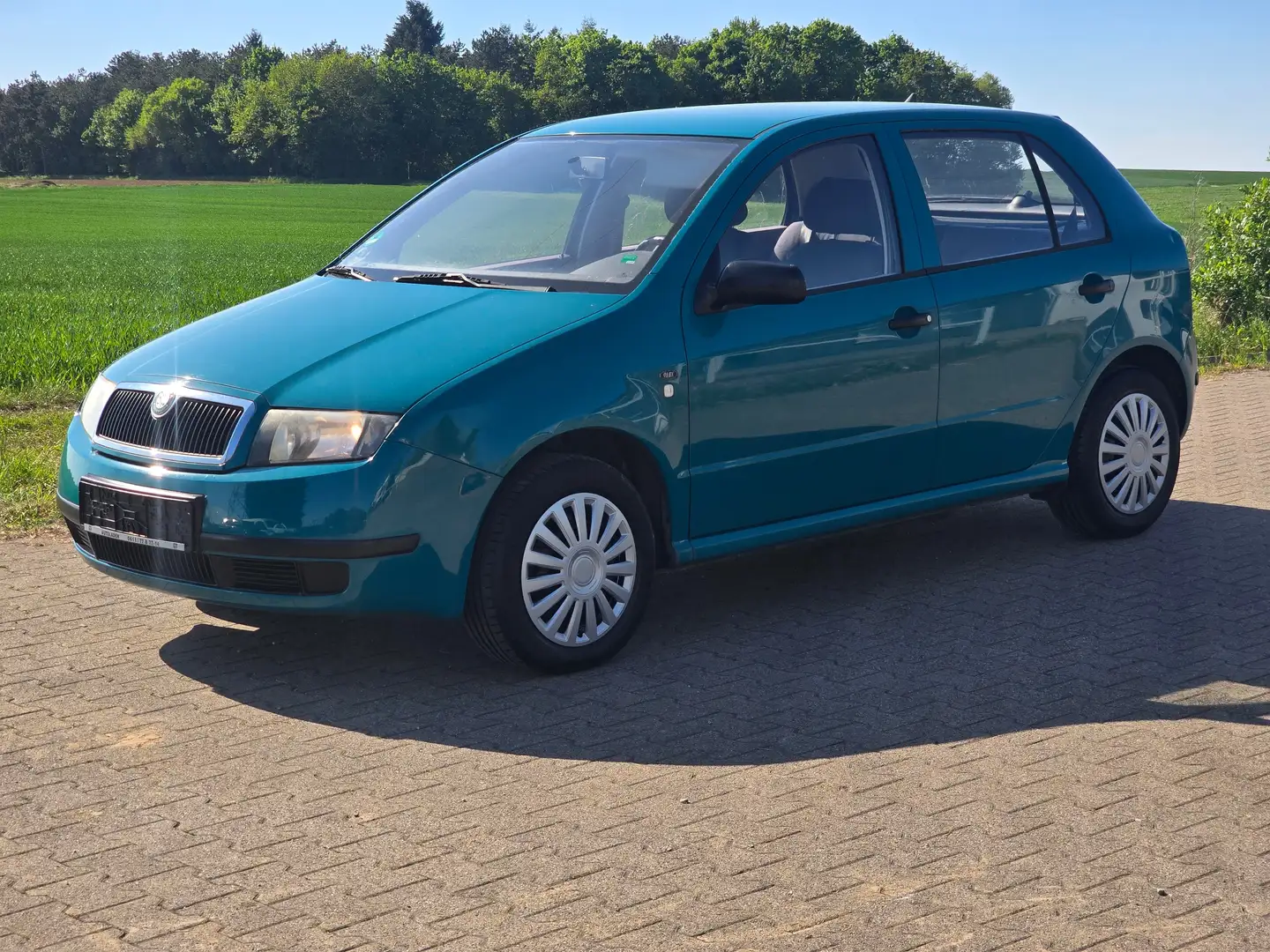 Skoda Fabia 1.4 Classic Verde - 1