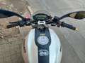 Ducati Monster 696 MONSTER 696 LIMITADA Blanco - thumbnail 10
