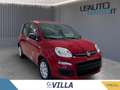 Fiat Panda 1.0 70cv Hybrid Rosso - thumbnail 1