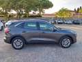 Ford Kuga 1.5 dci St-Line 2wd Grigio - thumbnail 6