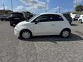 Fiat 500 1.0 hybrid Cult 70cv Blanc - thumbnail 1