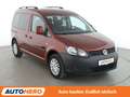 Volkswagen Caddy 1.2 TSI Trendline *PDC*SHZ*KLIMA* Rood - thumbnail 8