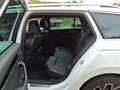Skoda Superb Combi L&K 2.0 TDI DSG AHK ACC DCC LED Weiß - thumbnail 4