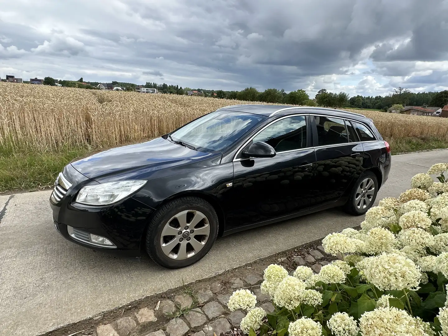 Opel Insignia 2.0 CDTI Sports Tourer Noir - 1