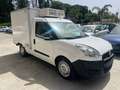 Fiat Doblo Doblò 1.3 MJT Cella Frigo Blanc - thumbnail 2