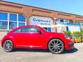 Volkswagen Beetle Beetle 2,0 TDI R-Line Sport DSG Rot - thumbnail 3