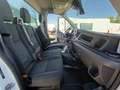 Ford Transit FT 350 Chasis Cabina 2.0 EcoBlue L2 Trend Blanco - thumbnail 10