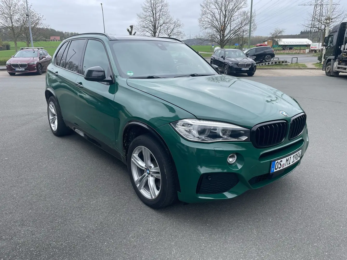 BMW X5 X5 xDrive30d Grün - 1