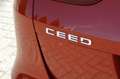 Kia Ceed SW / cee'd SW Sportswagon 1.0 T-GDi 120PK GT-Line | El. Glazen P Oranje - thumbnail 7